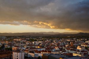 Lutte contre les nuisibles Perpignan